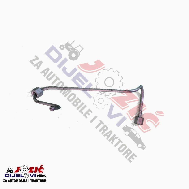 Daisy on the Ohoopee